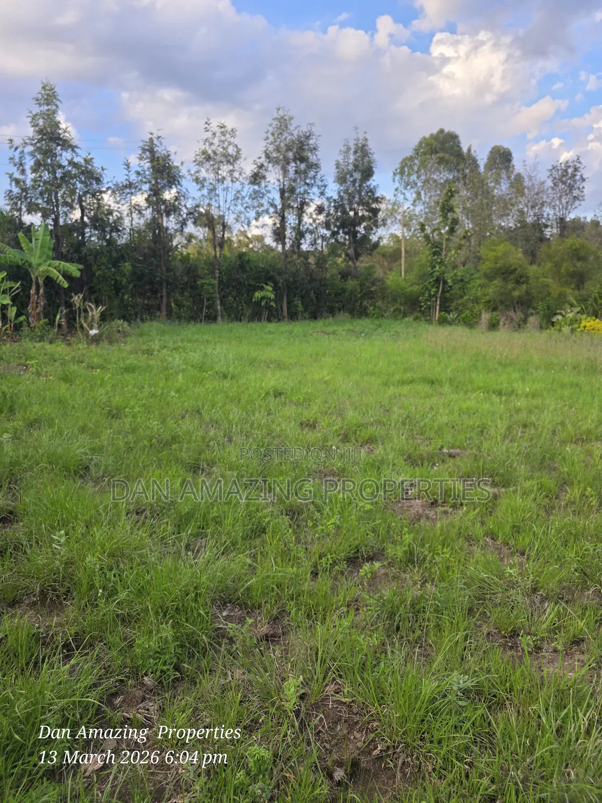 1/4 Acre for Sale Fully Fenced and Trees Planted Ideal for Residential in Oluulua