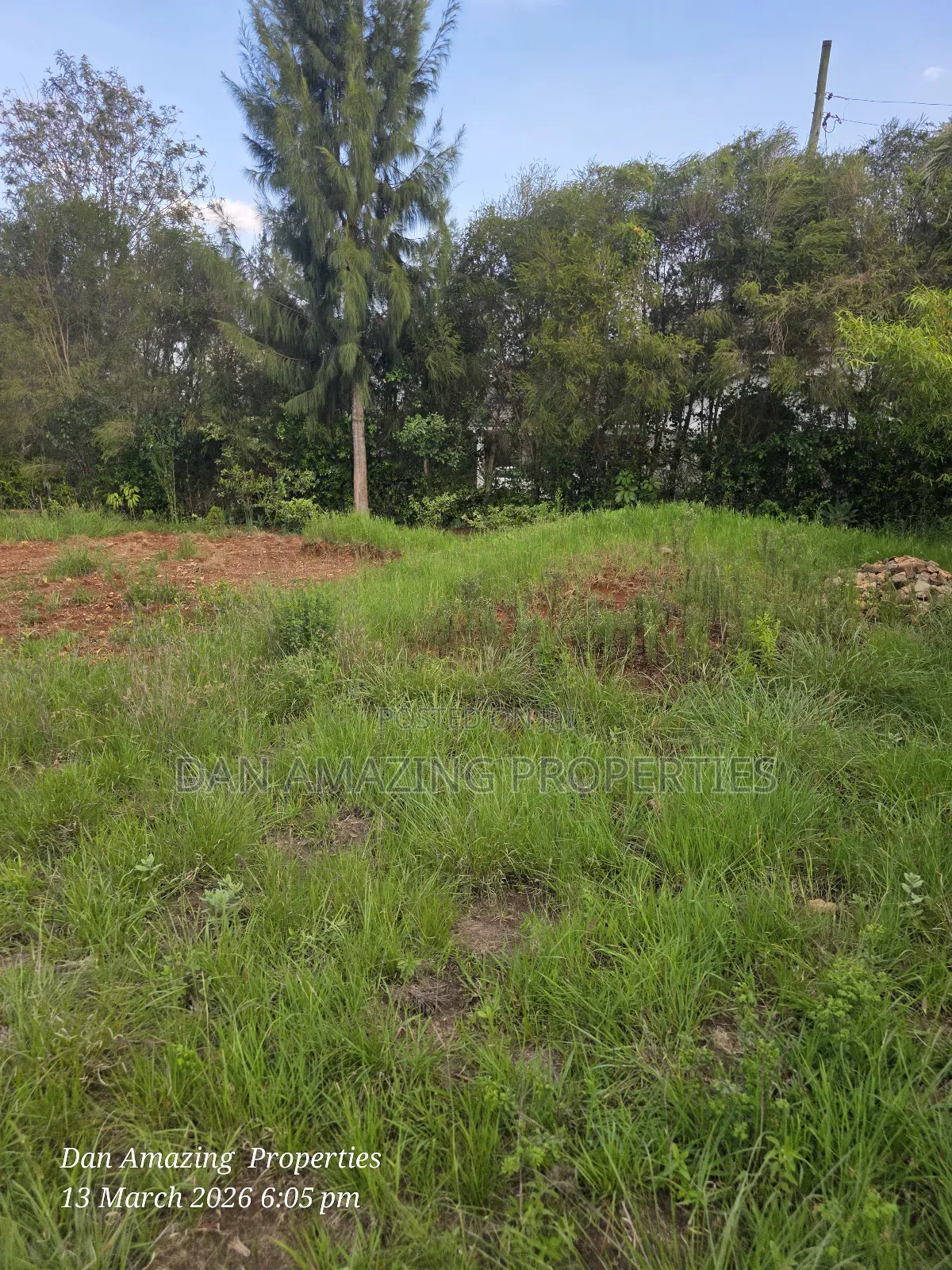 1/4 Acre for Sale Fully Fenced and Trees Planted Ideal for Residential in Oluulua