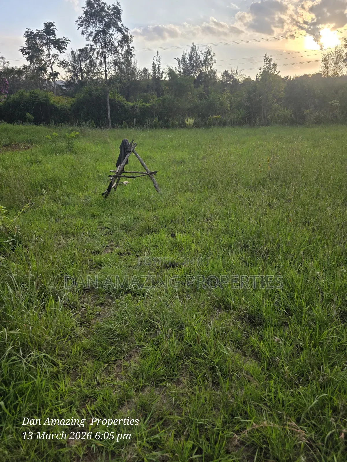 1/4 Acre for Sale Fully Fenced and Trees Planted Ideal for Residential in Oluulua