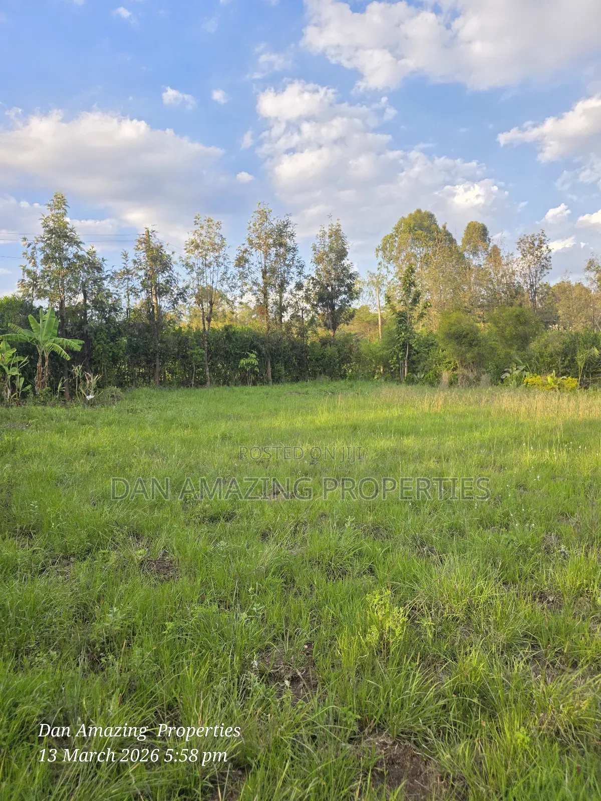 1/4 Acre for Sale Fully Fenced and Trees Planted Ideal for Residential in Oluulua