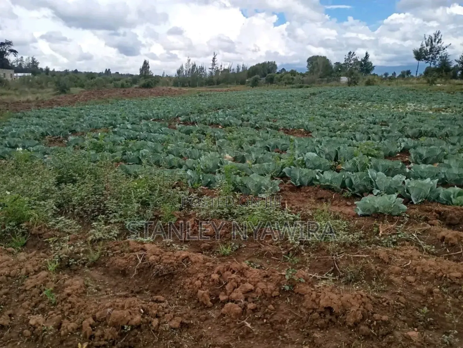 Two Acreas Fronting River Nanyuki For Sale in Nanyuki