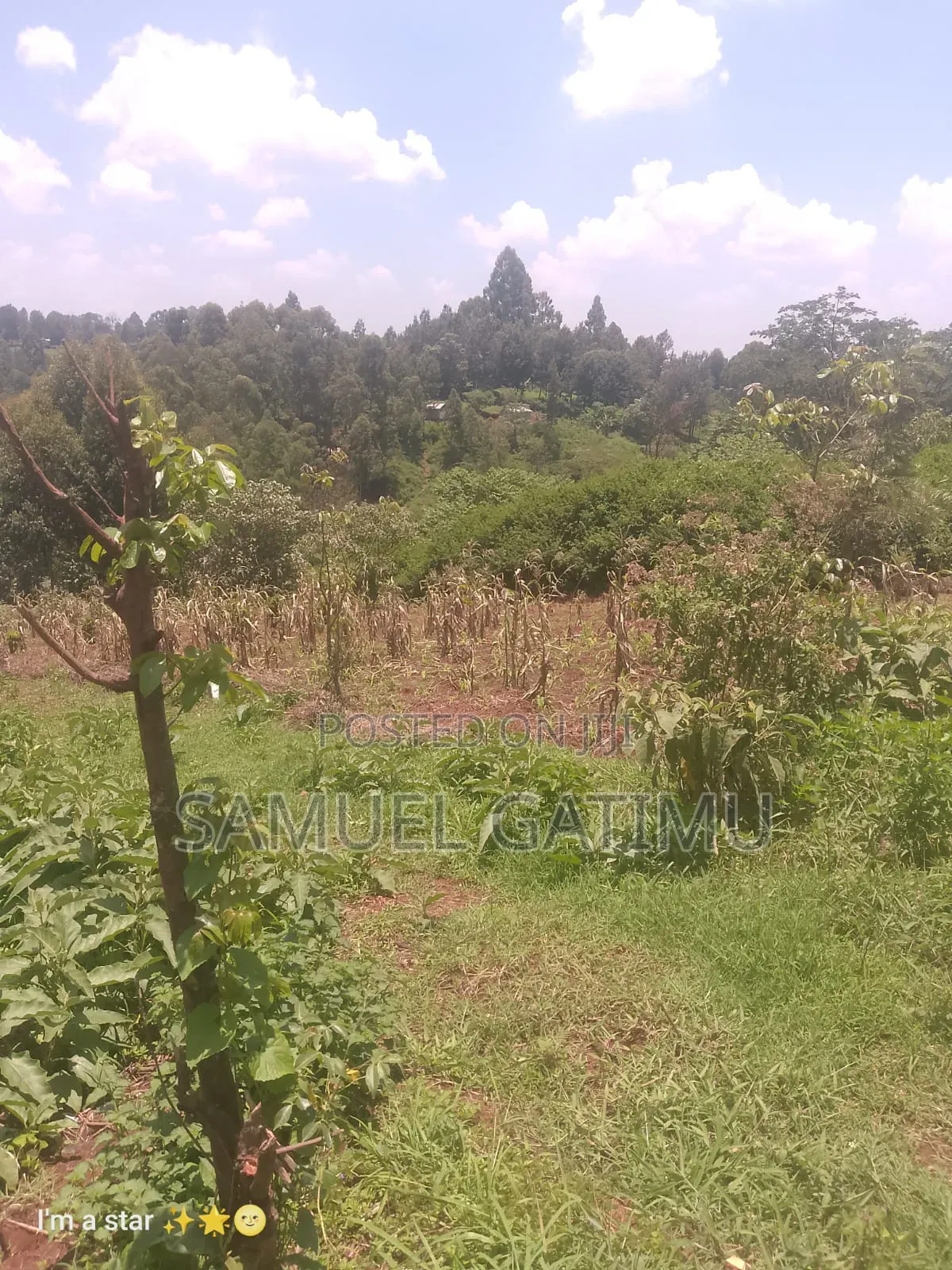 50/100 Njoro Ngewa Plot for Sale in Kiambaa