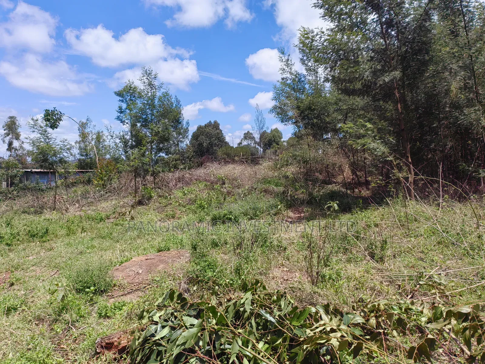 Half Acre for Sale in Gikambura Kikuyu Kiambu County. in Kikuyu