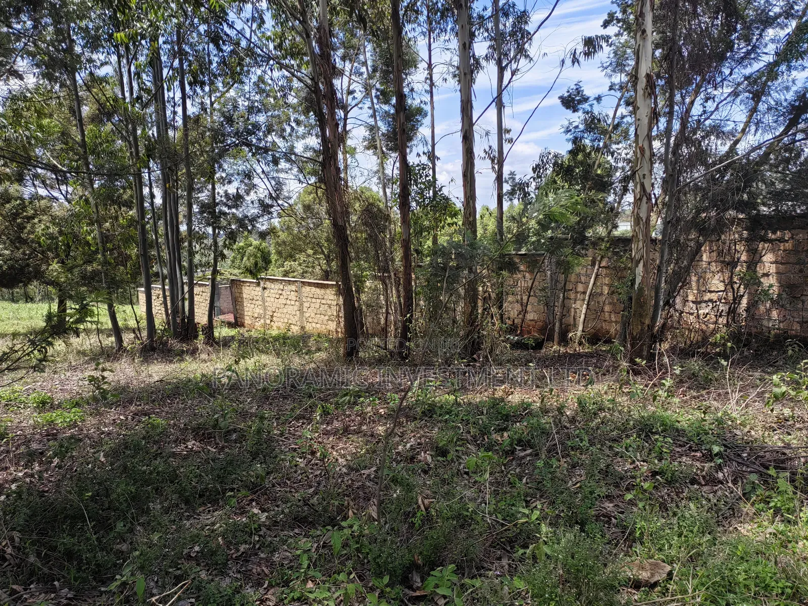 Half Acre for Sale in Gikambura Kikuyu Kiambu County. in Kikuyu