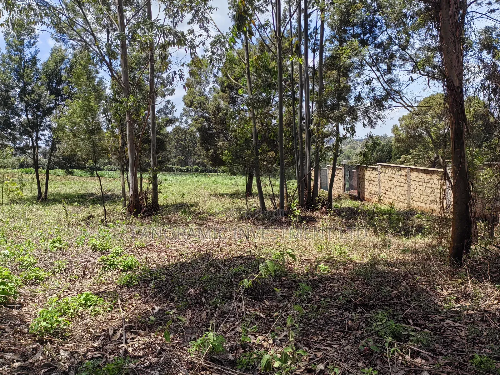 Half Acre for Sale in Gikambura Kikuyu Kiambu County. in Kikuyu