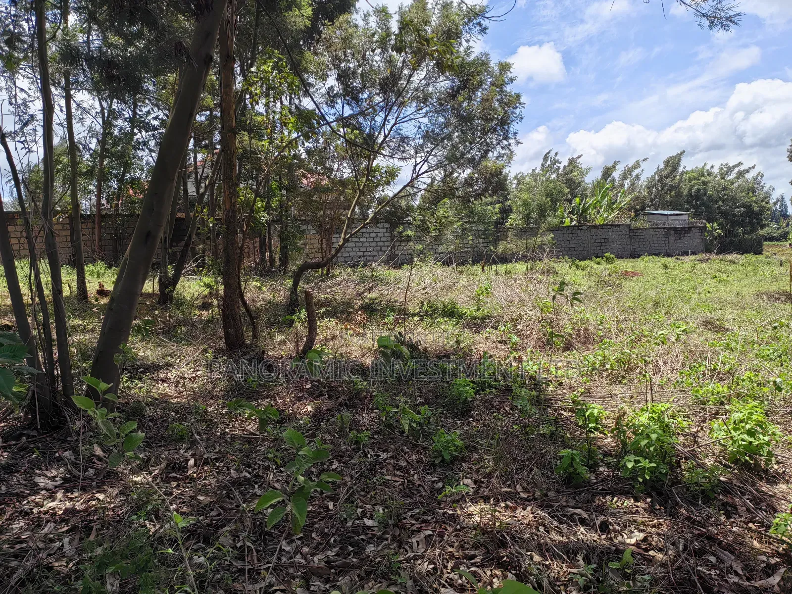 Half Acre for Sale in Gikambura Kikuyu Kiambu County. in Kikuyu