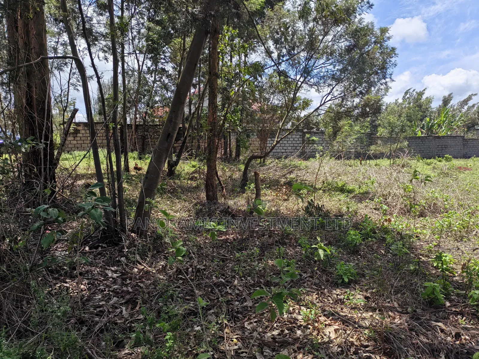 Half Acre for Sale in Gikambura Kikuyu Kiambu County. in Kikuyu