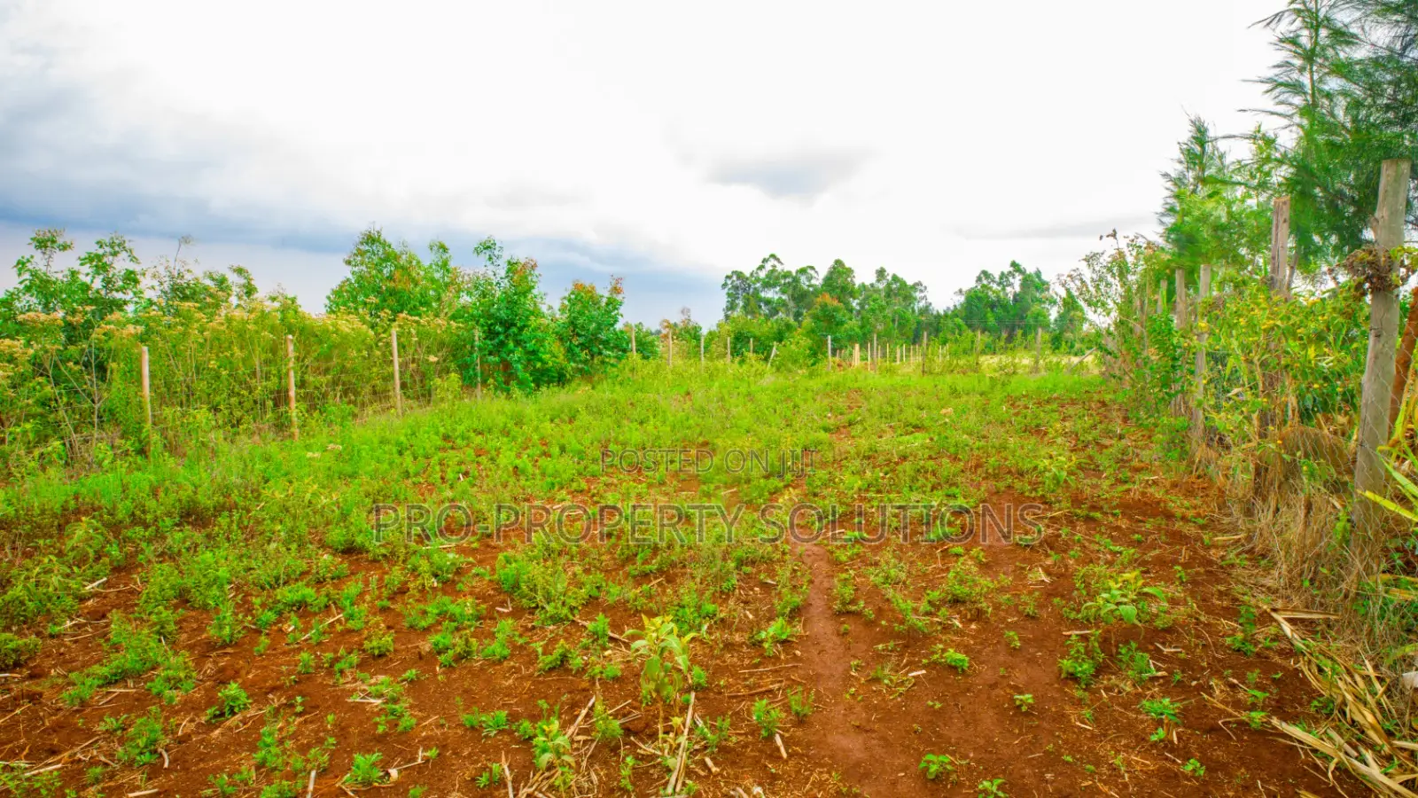 Prime Residential Plot for Sale in Kikuyu, Thigio. in Kikuyu