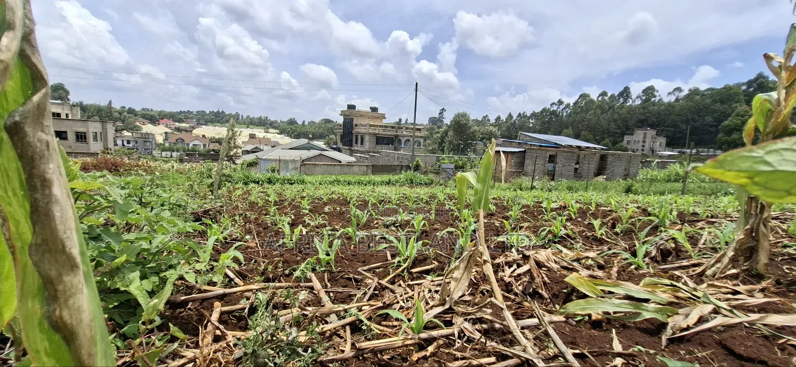 Kikuyu Ondiri 100x100 Plot Available for Sale in Karai
