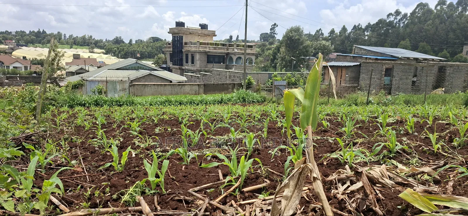 Kikuyu Ondiri 100x100 Plot Available for Sale in Karai