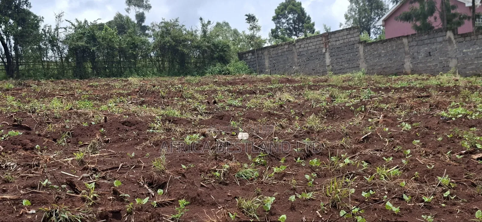 Kikuyu Ondiri 100x100 Plot Available for Sale in Karai