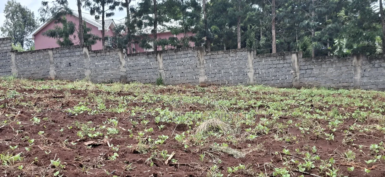 Kikuyu Ondiri 100x100 Plot Available for Sale in Karai