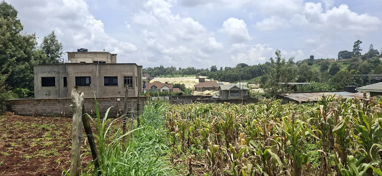 Kikuyu Ondiri 100x100 Plot Available for Sale in Karai