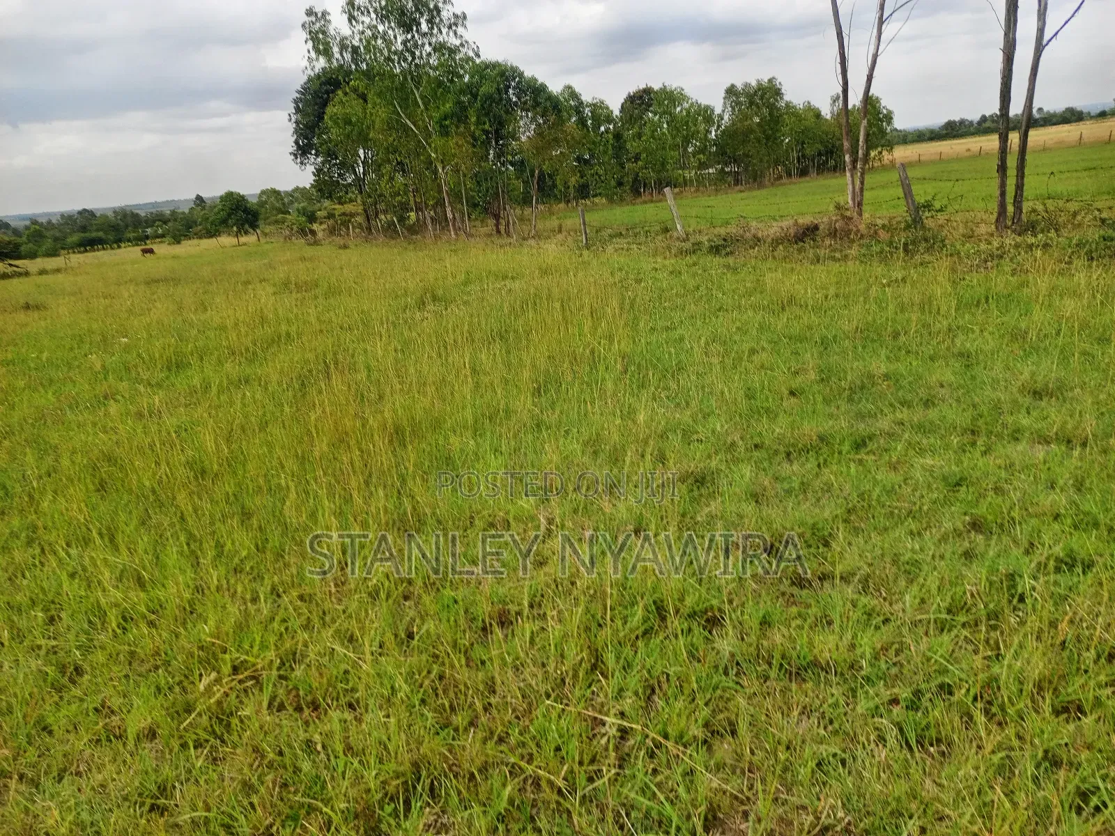 4 Acreas Located Along Nanyuki Narumoro Nyeri Highway in Nanyuki