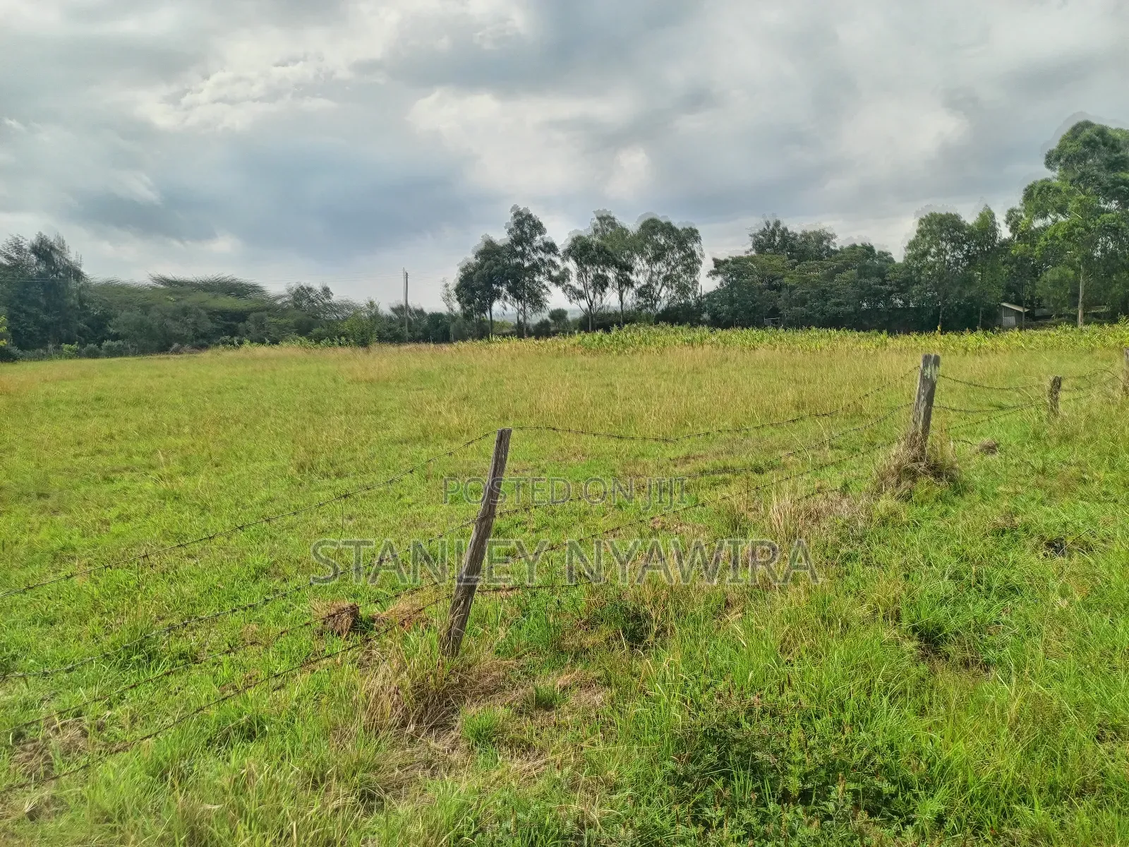 4 Acreas Located Along Nanyuki Narumoro Nyeri Highway in Nanyuki