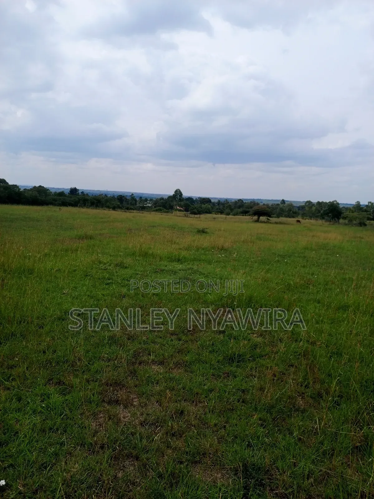 4 Acreas Located Along Nanyuki Narumoro Nyeri Highway in Nanyuki
