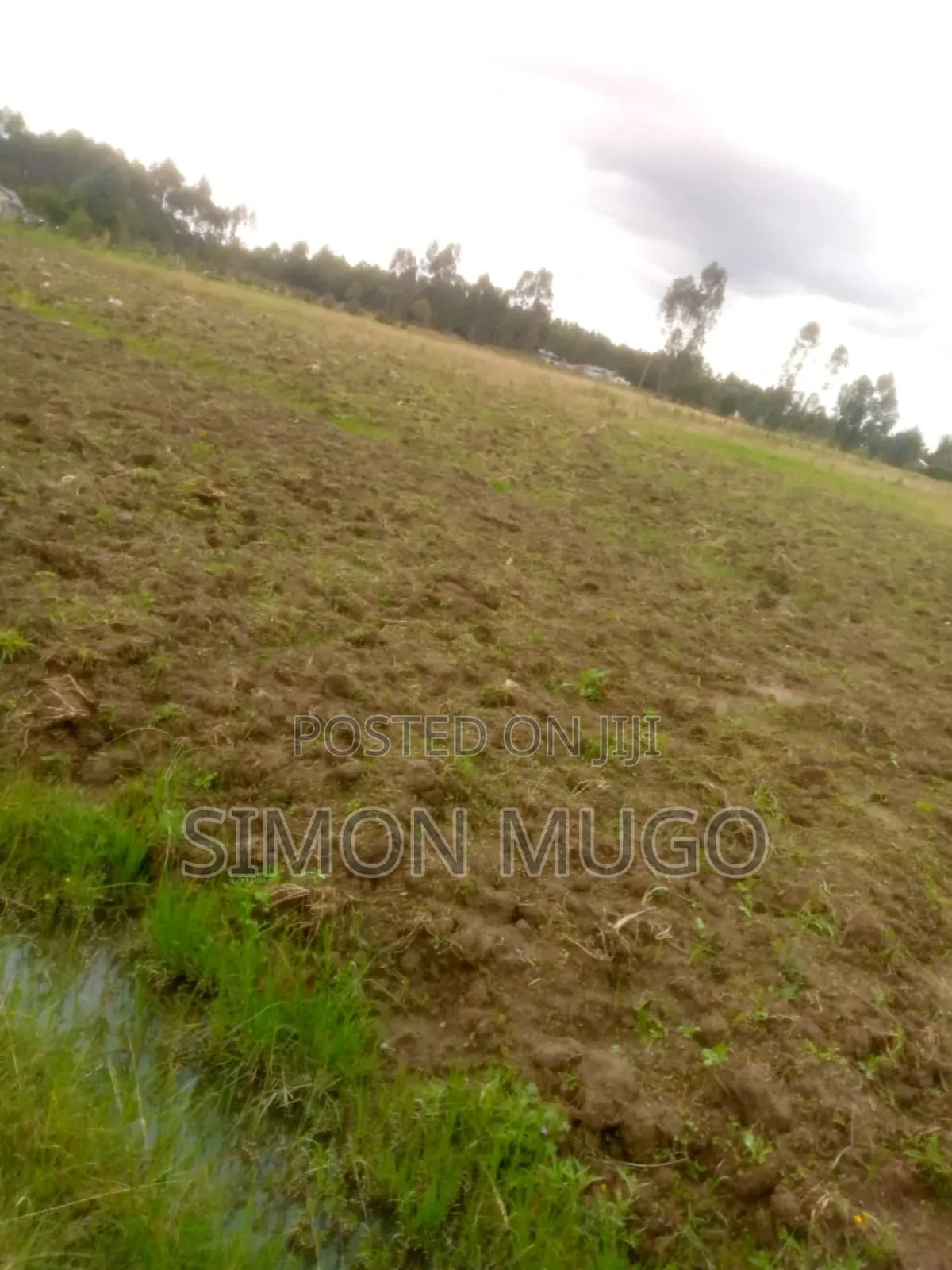 Engineer Kinagop Prime 3 Acre Near Kenyatta Tree Freehold Title in Engineer