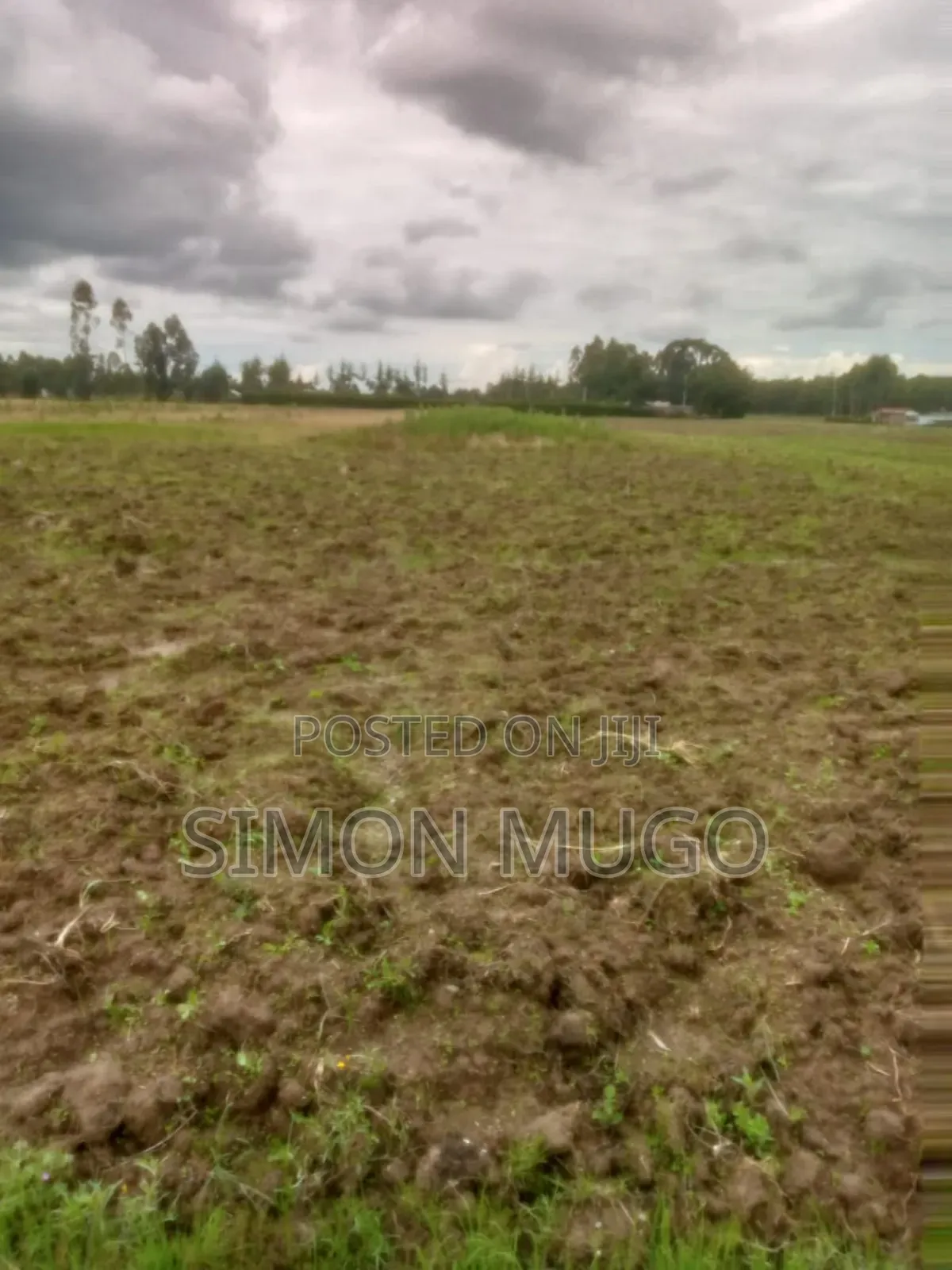 Engineer Kinagop Prime 3 Acre Near Kenyatta Tree Freehold Title in Engineer