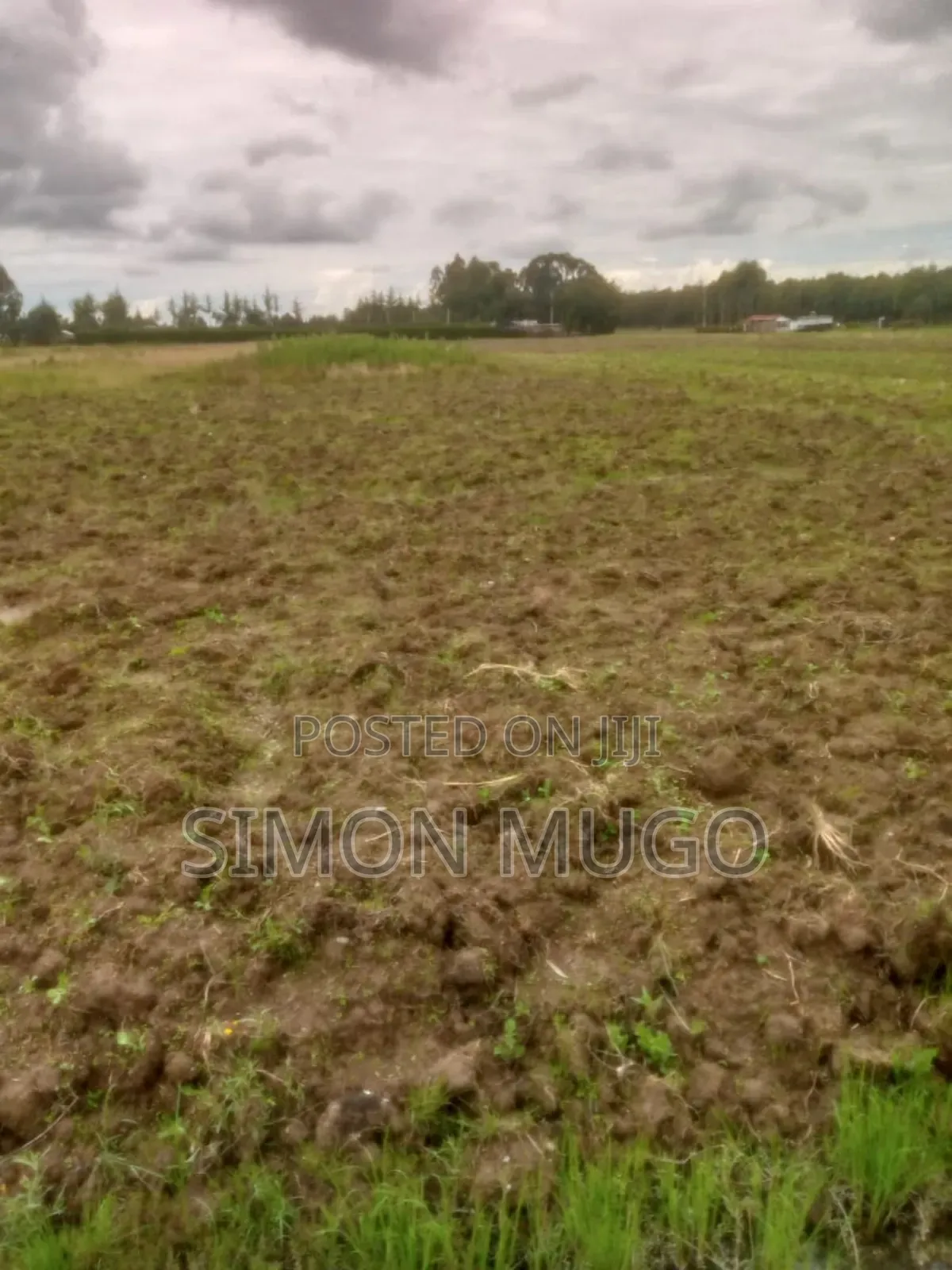 Engineer Kinagop Prime 3 Acre Near Kenyatta Tree Freehold Title in Engineer
