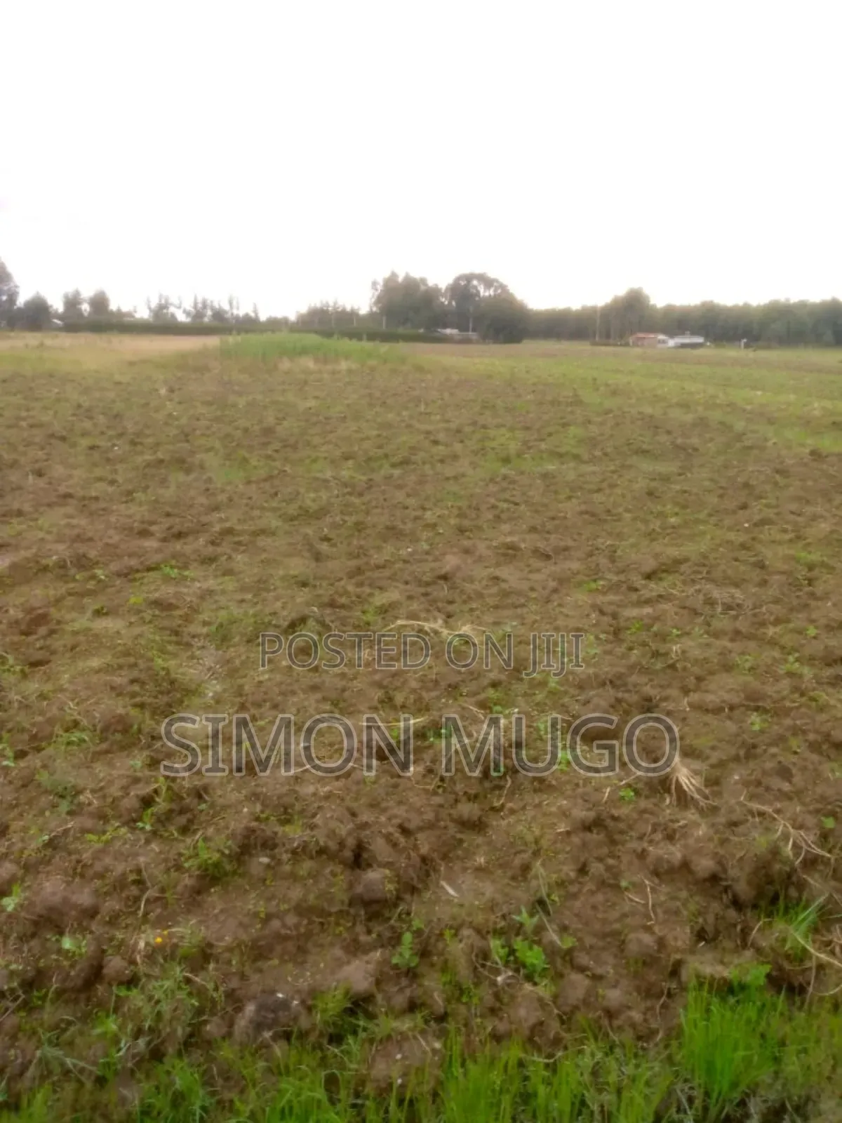 Engineer Kinagop Prime 3 Acre Near Kenyatta Tree Freehold Title in Engineer