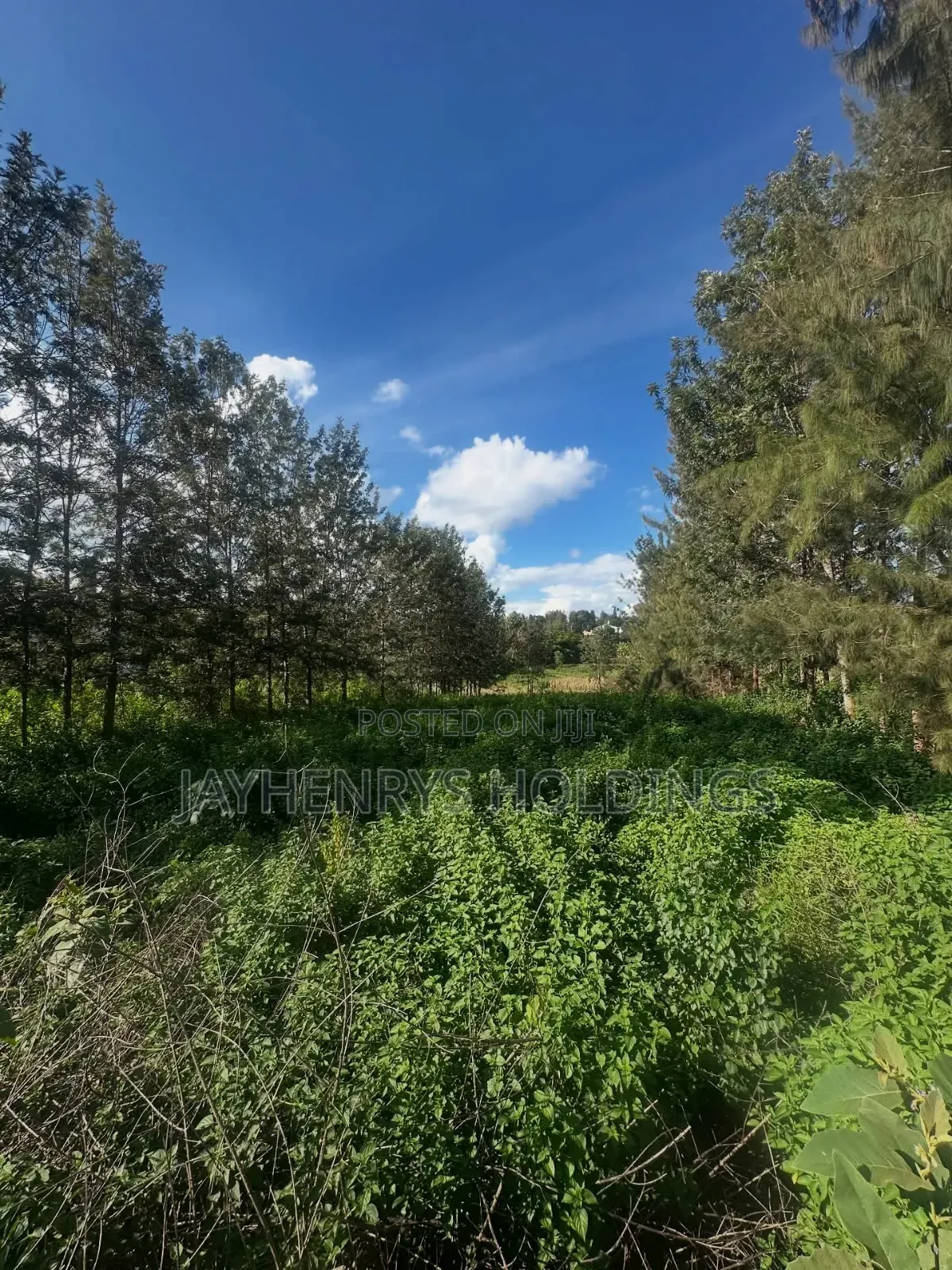 Half Acre Plot for Sale in Mushroom Gardens,Off Kiambu Rd in Thindigua/Kasarini