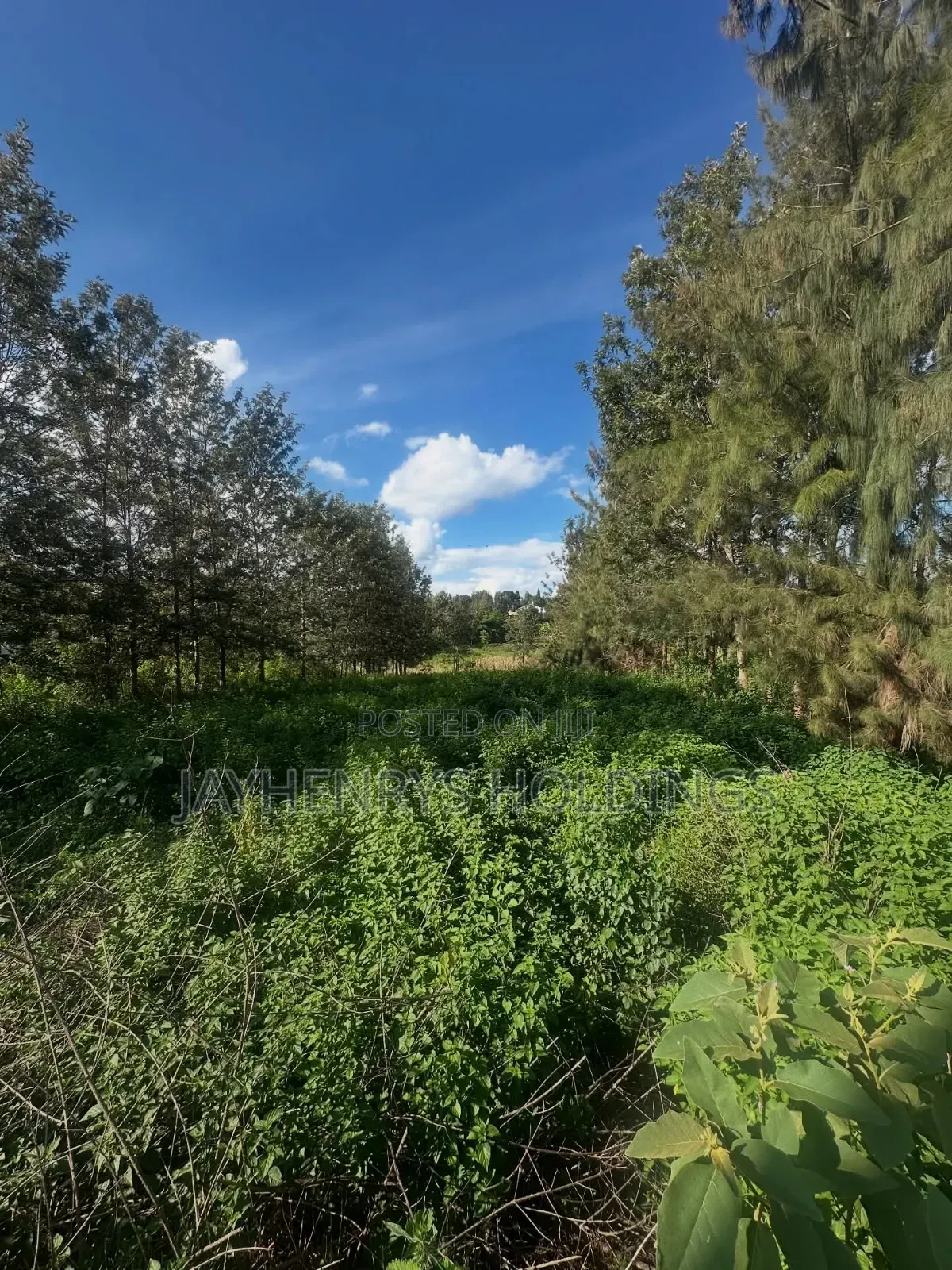 Half Acre Plot for Sale in Mushroom Gardens,Off Kiambu Rd in Thindigua/Kasarini
