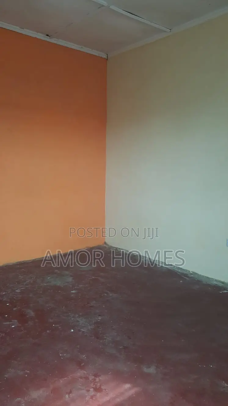 Studio Apartment in Barsheba, Mshomoroni for rent in Mshomoroni