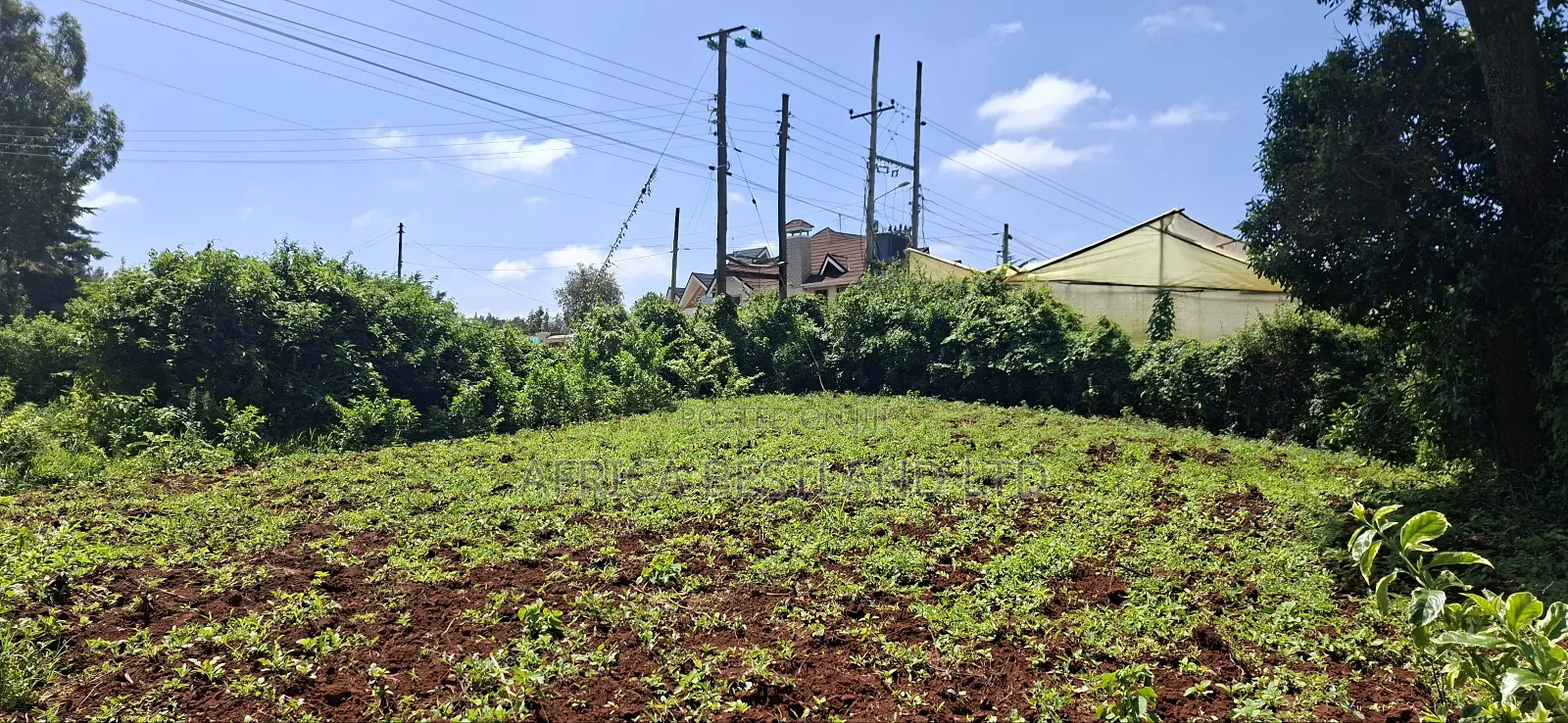 1/2 Acre Available Residential Land for Sale Kikuyu Ondiri in Karai