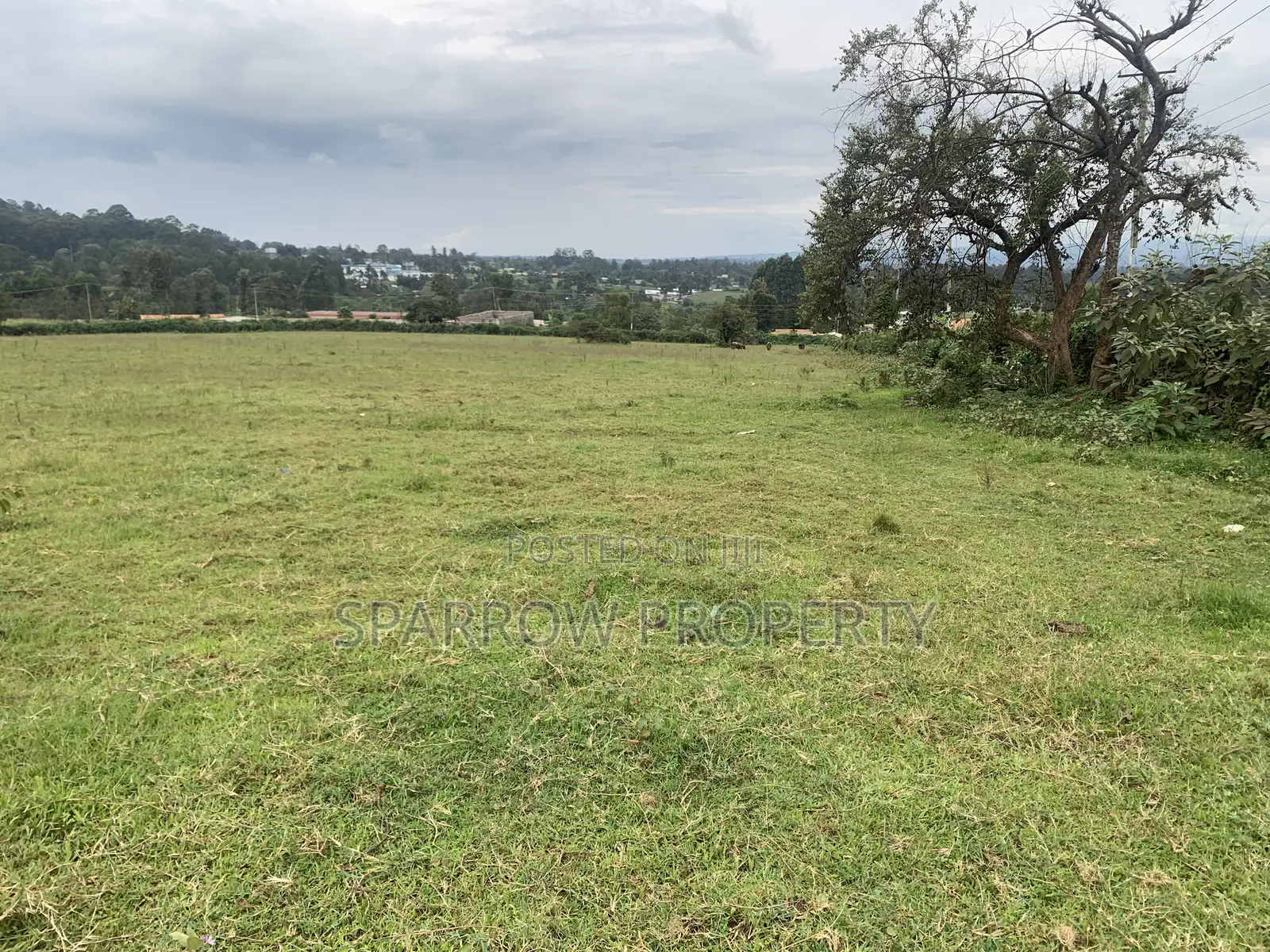 Kitale Town 3 Acre Plot for Sale in Kitale