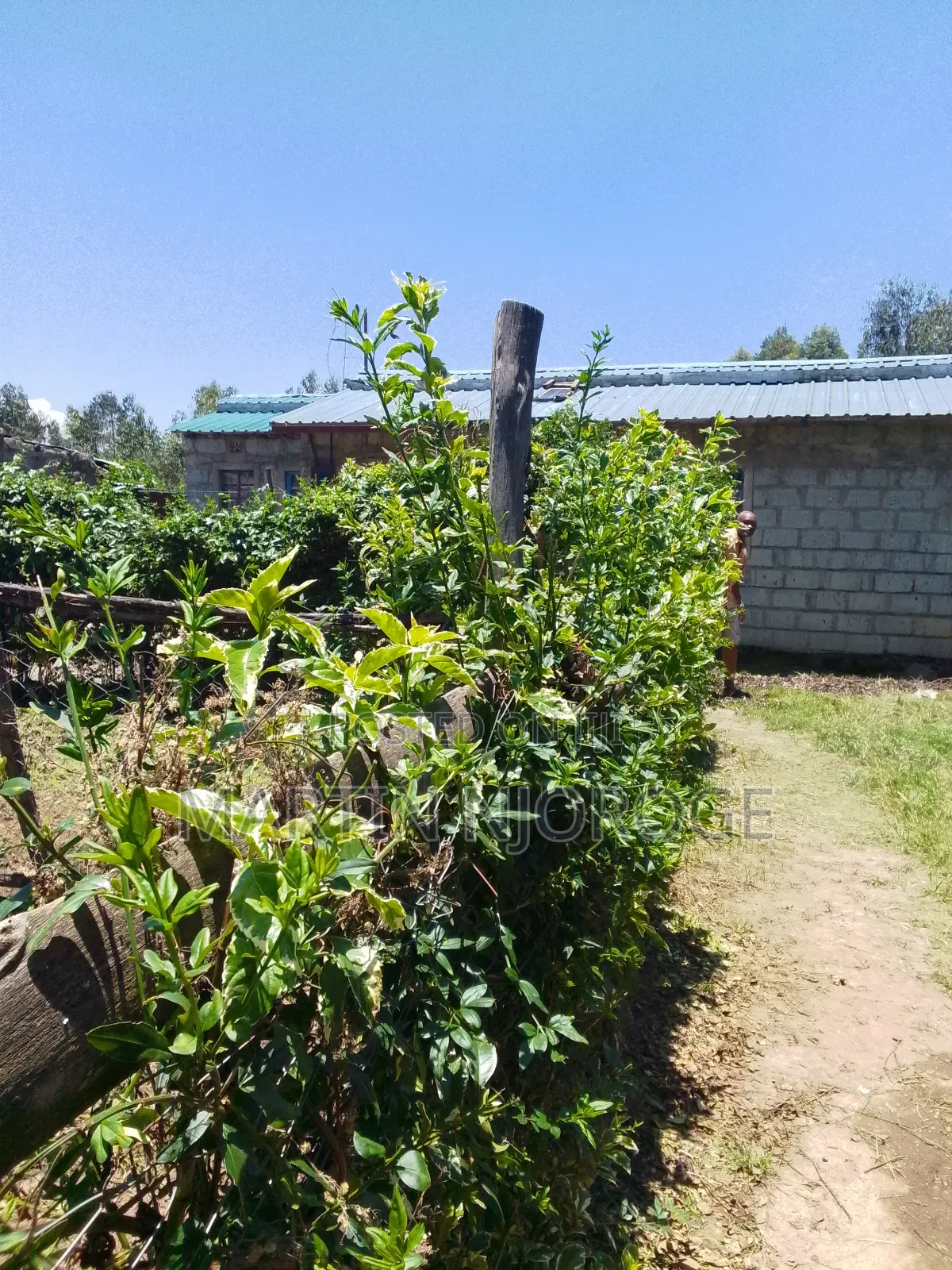 2bdrm House in Uplands, Lari/Kirenga for sale in Lari/Kirenga