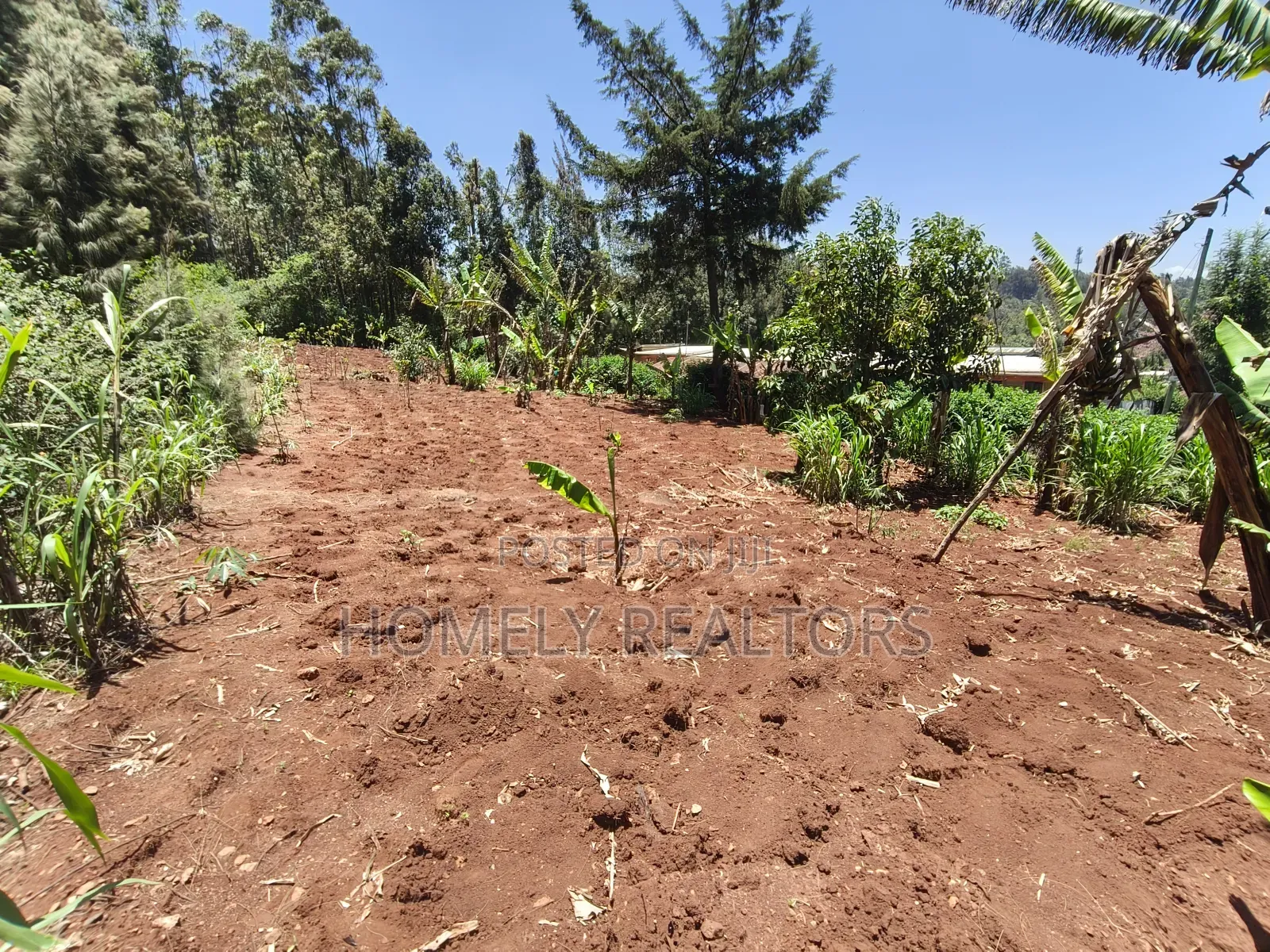 Red Soil Quarter Acre Plot for Sale in Kerarapon Drive. Scenic View in Kerarapon