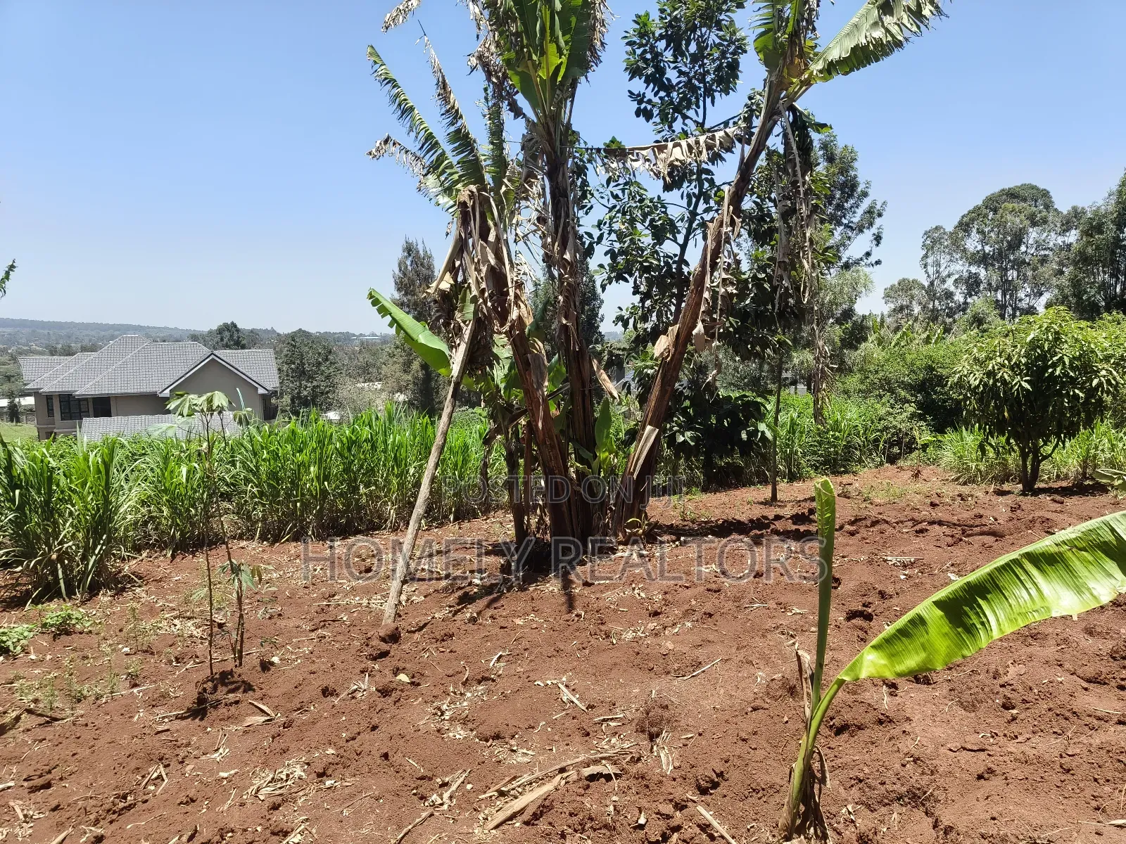 Red Soil Quarter Acre Plot for Sale in Kerarapon Drive. Scenic View in Kerarapon