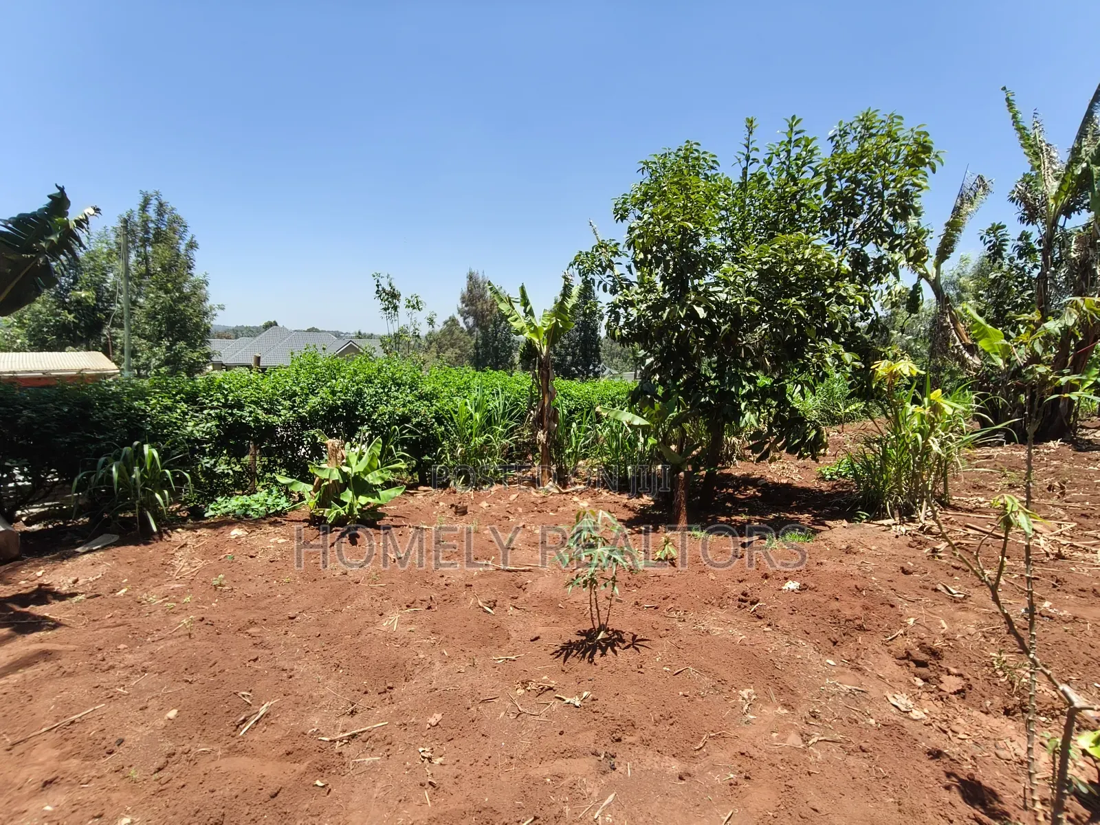 Red Soil Quarter Acre Plot for Sale in Kerarapon Drive. Scenic View in Kerarapon