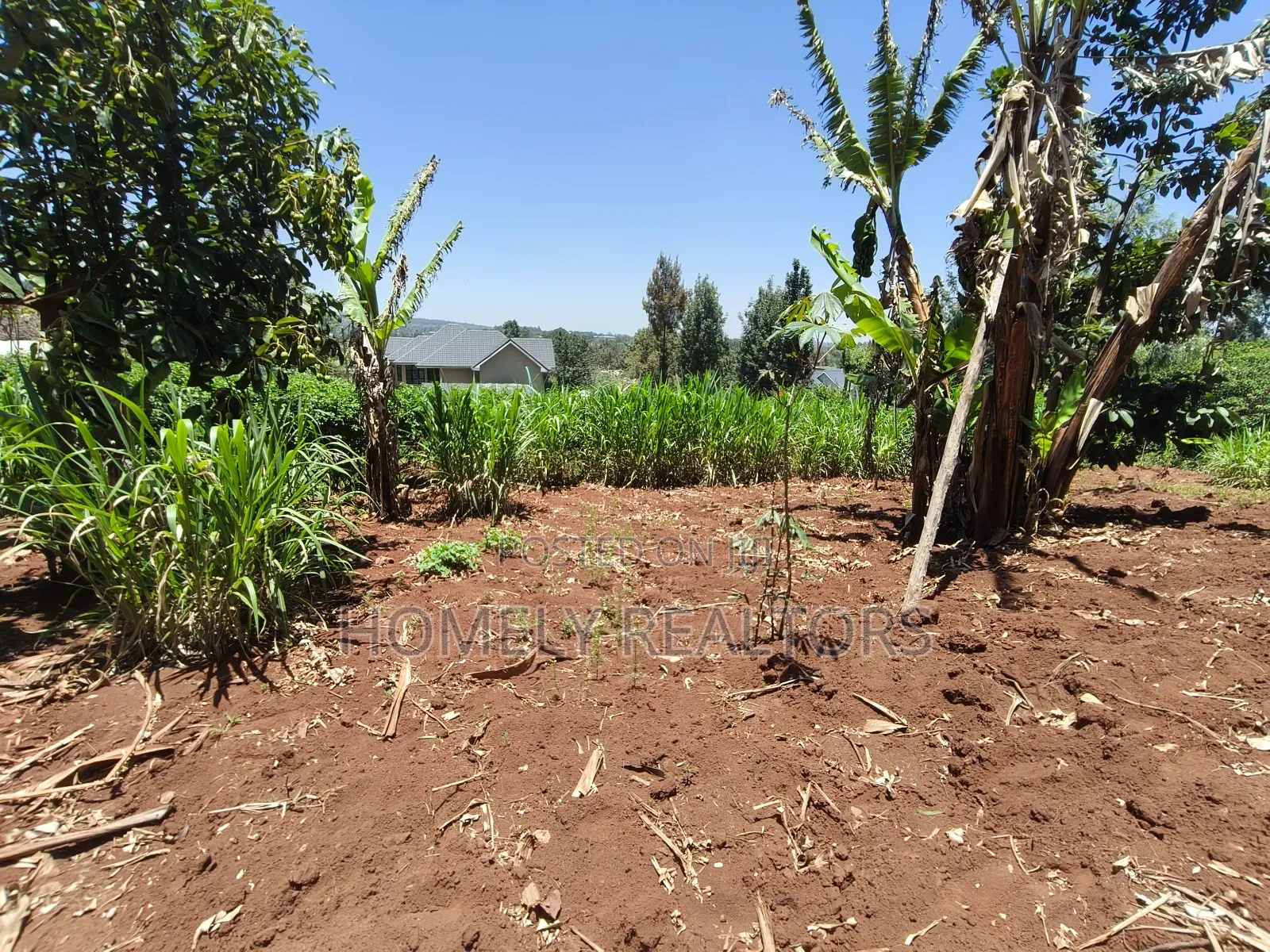 Red Soil Quarter Acre Plot for Sale in Kerarapon Drive. Scenic View in Kerarapon