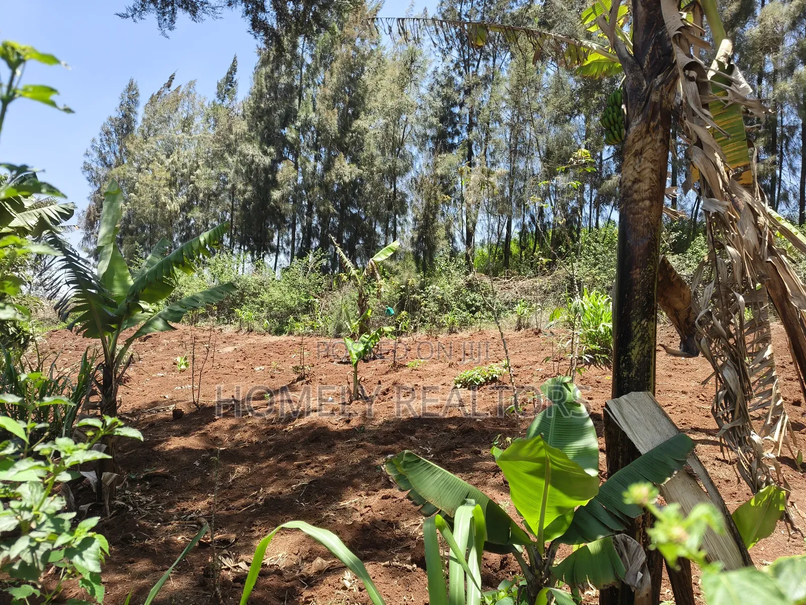 Red Soil Quarter Acre Plot for Sale in Kerarapon Drive. Scenic View in Kerarapon