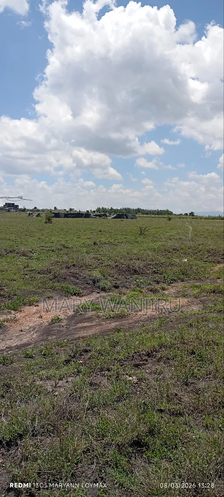 50/100 Plot Available for Sale in Oloika