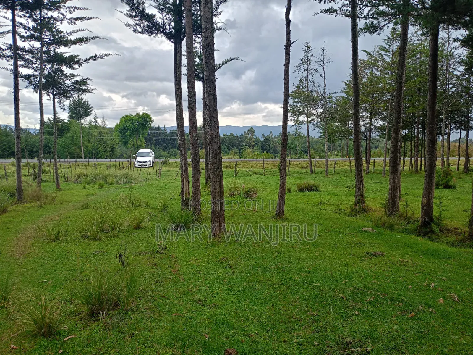 5 Acres Available for Sale in Engineer