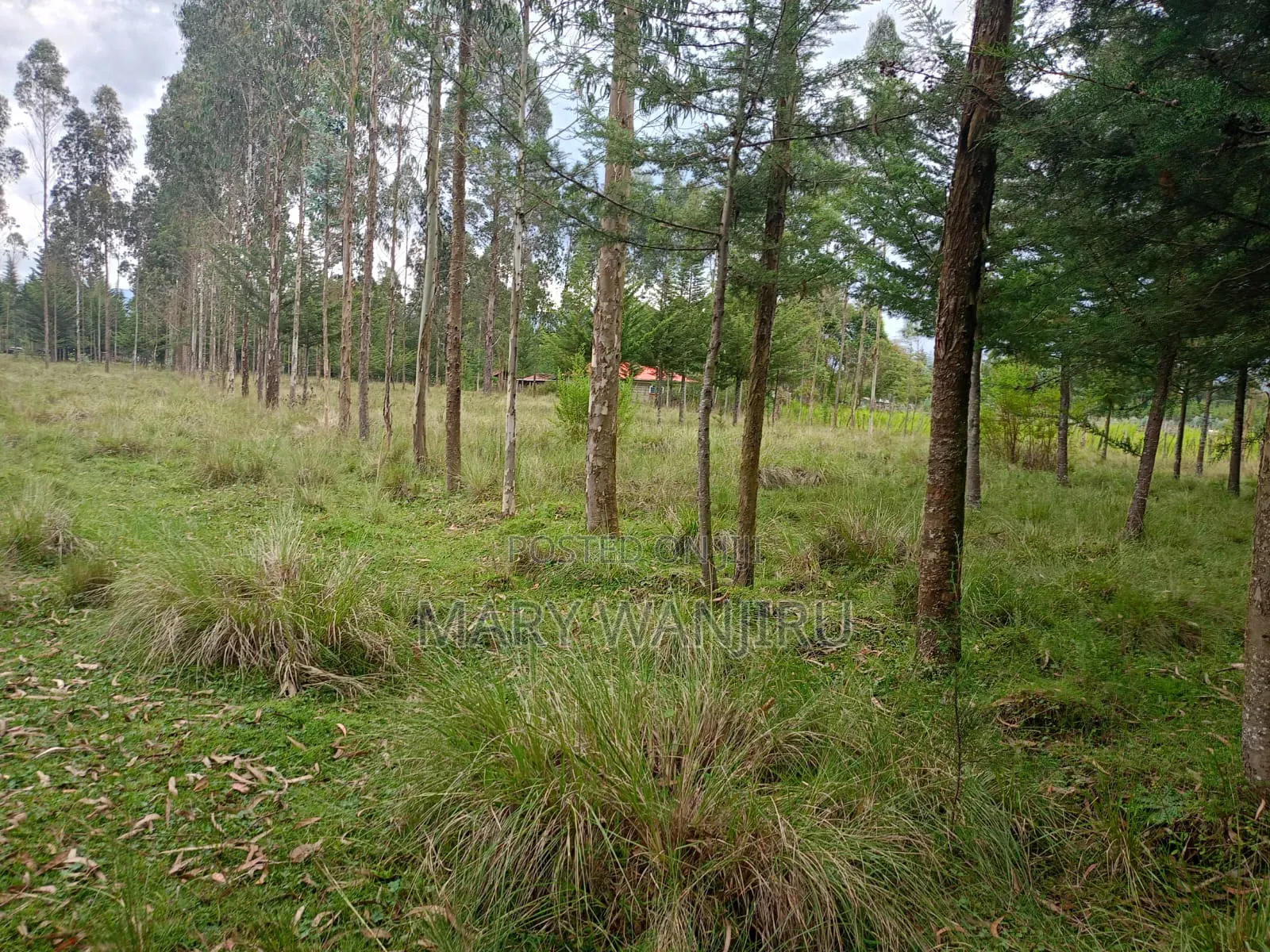 5 Acres Available for Sale in Engineer