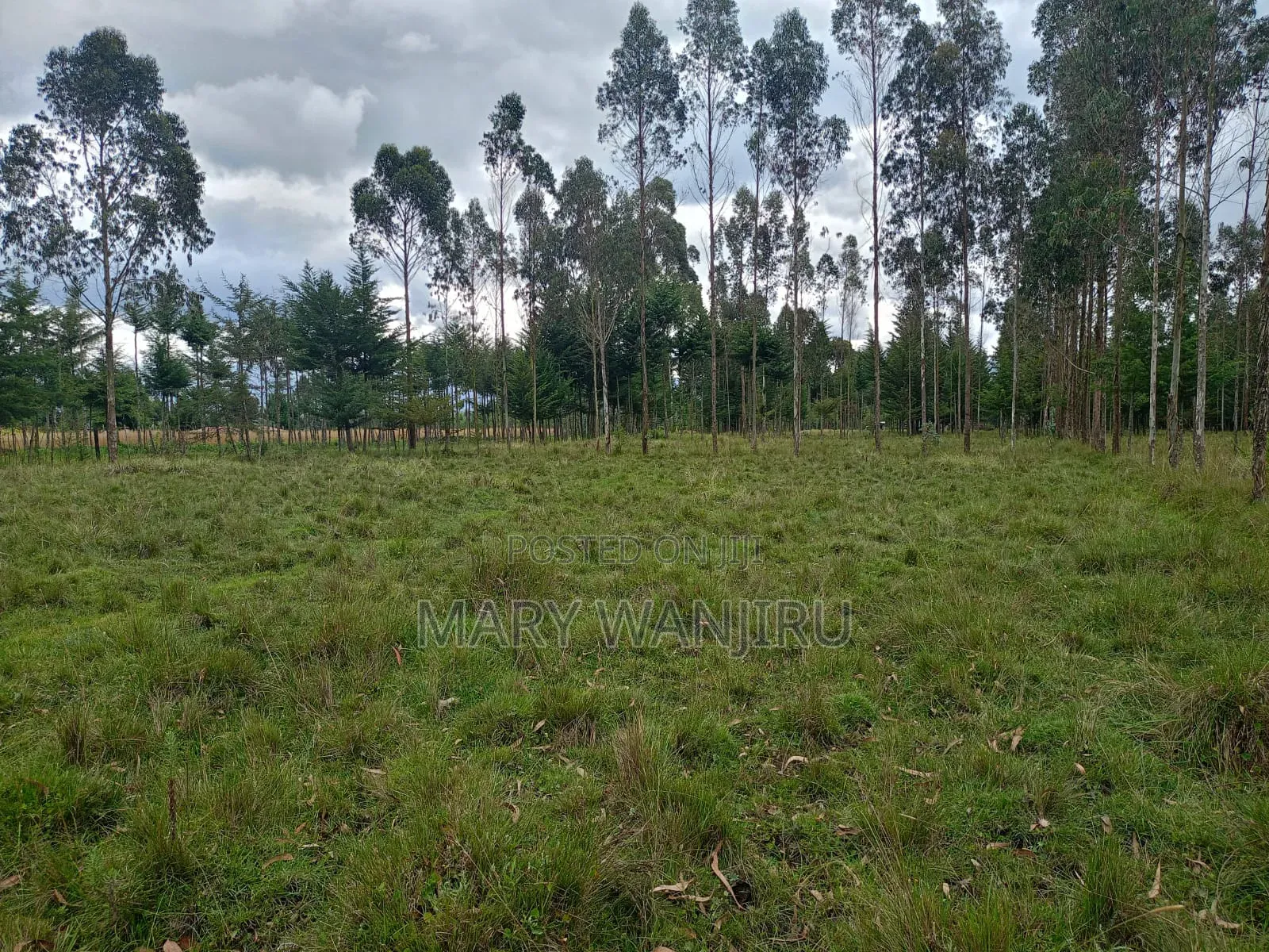 5 Acres Available for Sale in Engineer