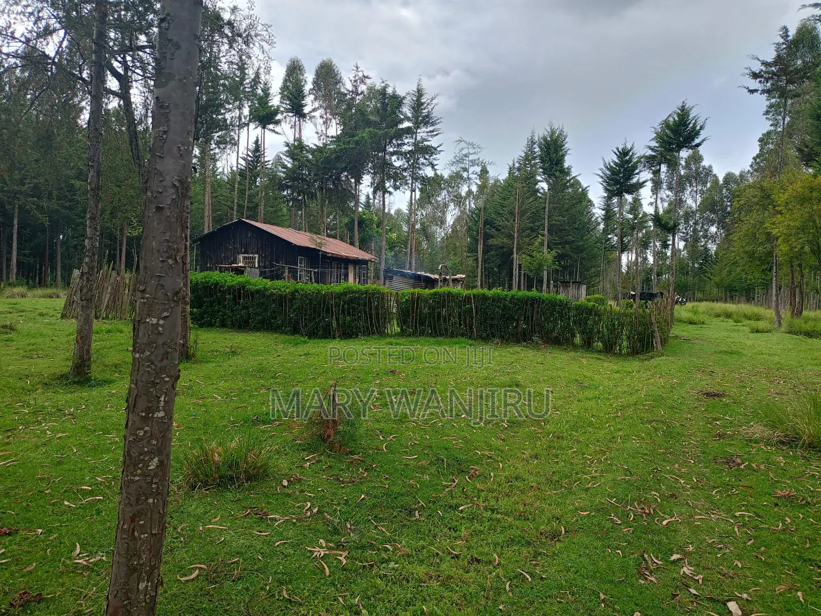 5 Acres Available for Sale in Engineer