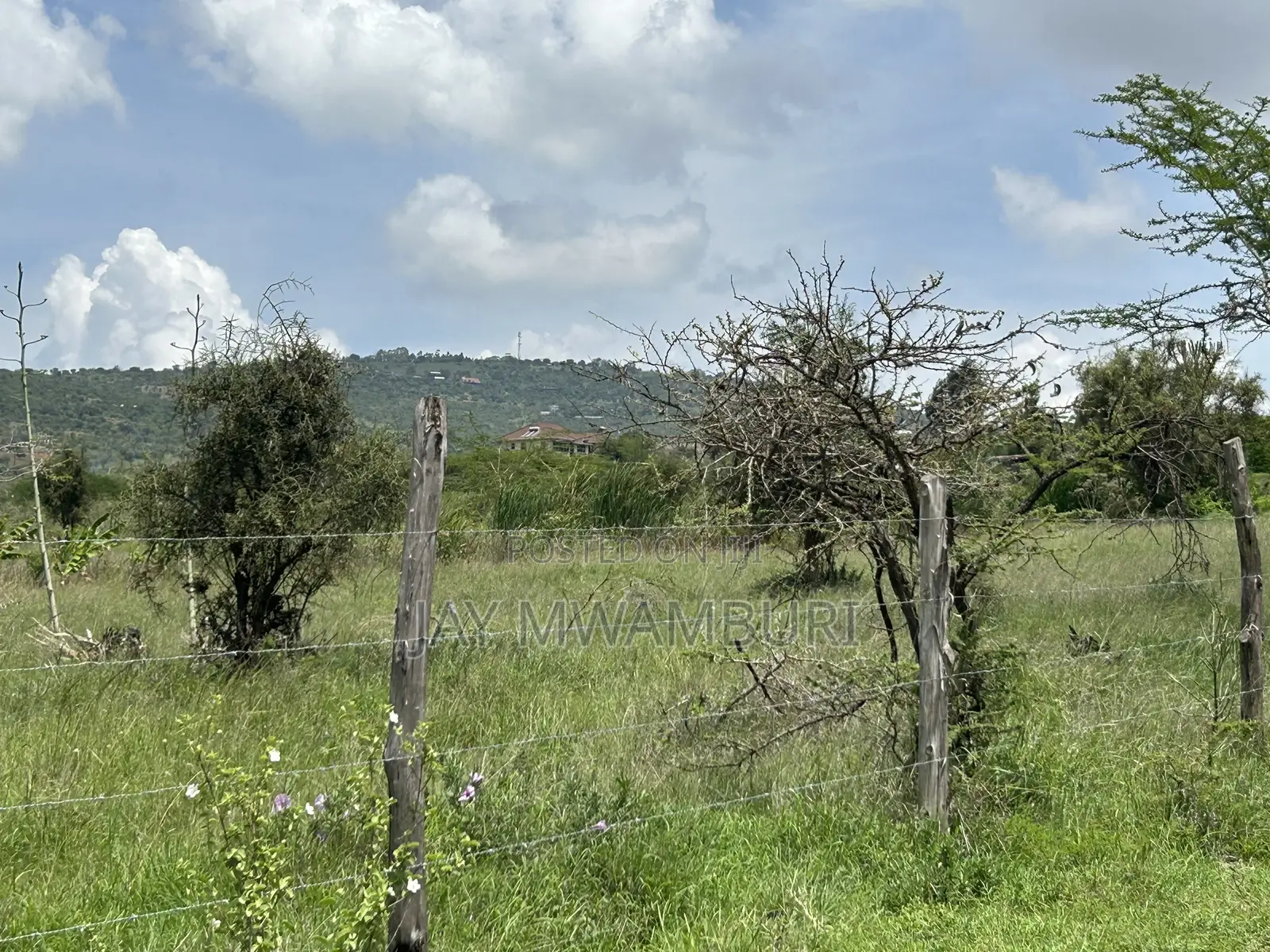 16 Acres Mua Hills Manzooni in Mua Hills