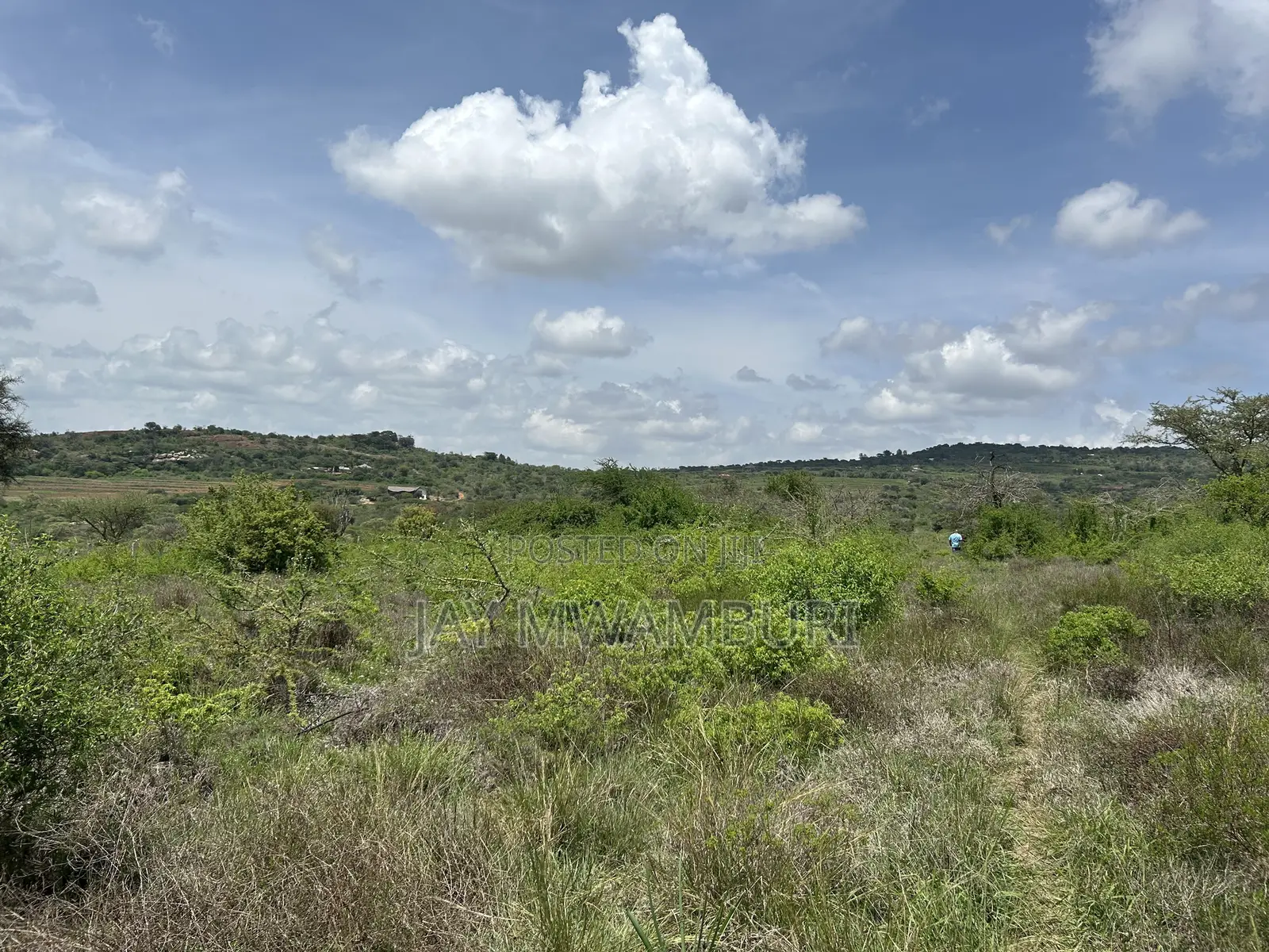 16 Acres Mua Hills Manzooni in Mua Hills