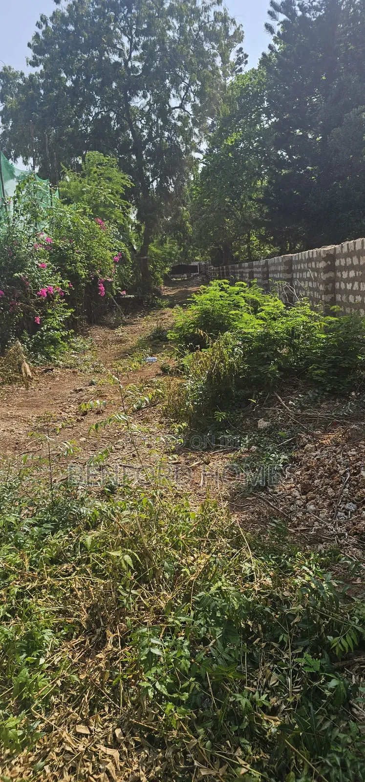 One Acre Piece of Land on Sale Old Nyali Mombasa by Benford Homes in Nyali Mkomani