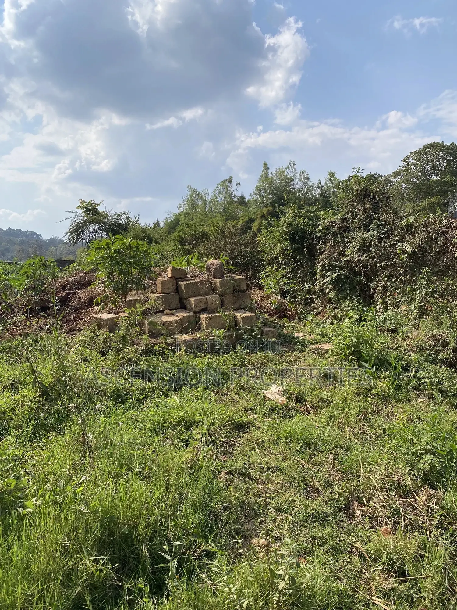 Prime 0.5-Acre Residential Plot for Sale – Loresho, Nairobi in Loresho
