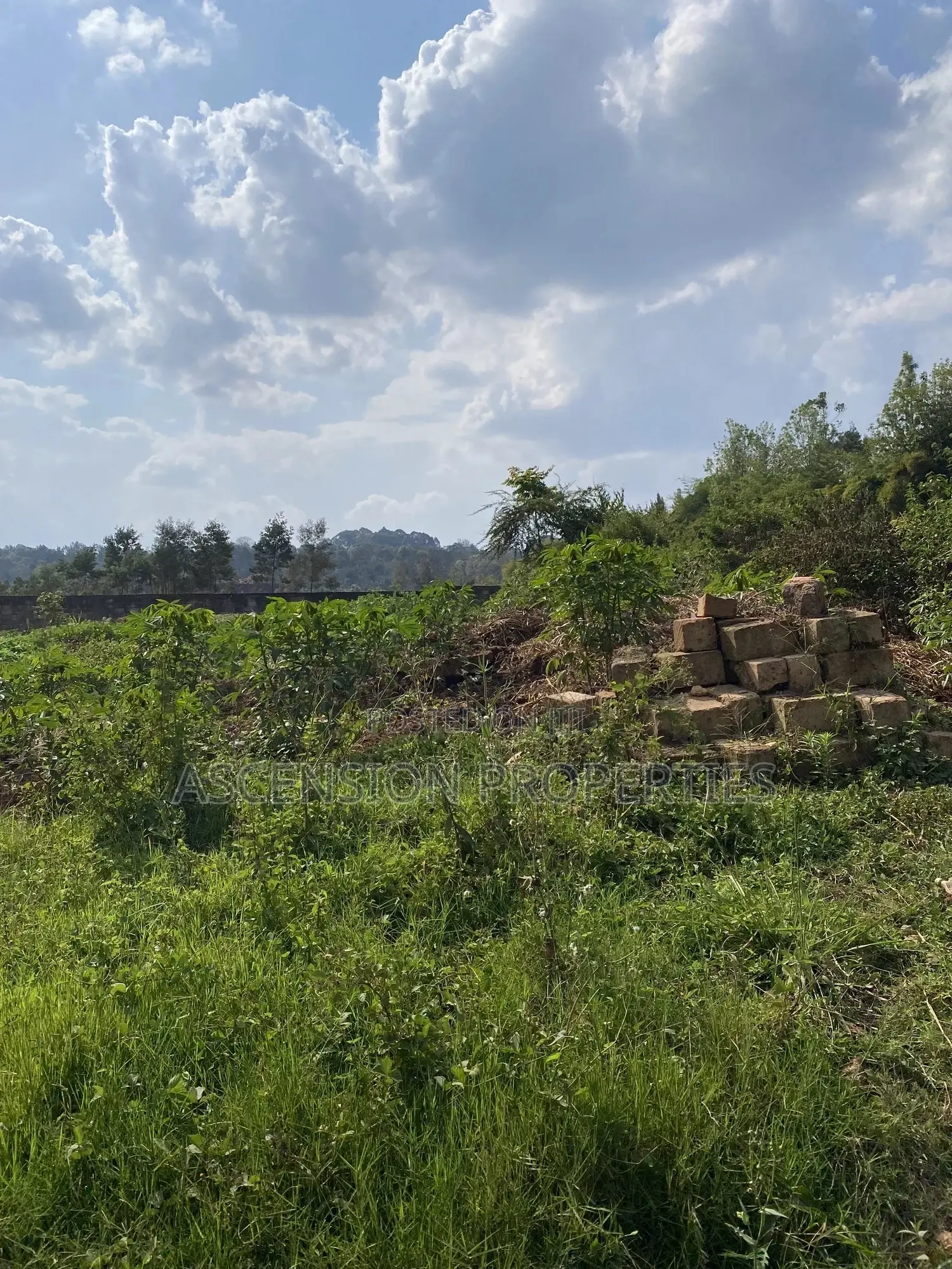 Prime 0.5-Acre Residential Plot for Sale – Loresho, Nairobi in Loresho