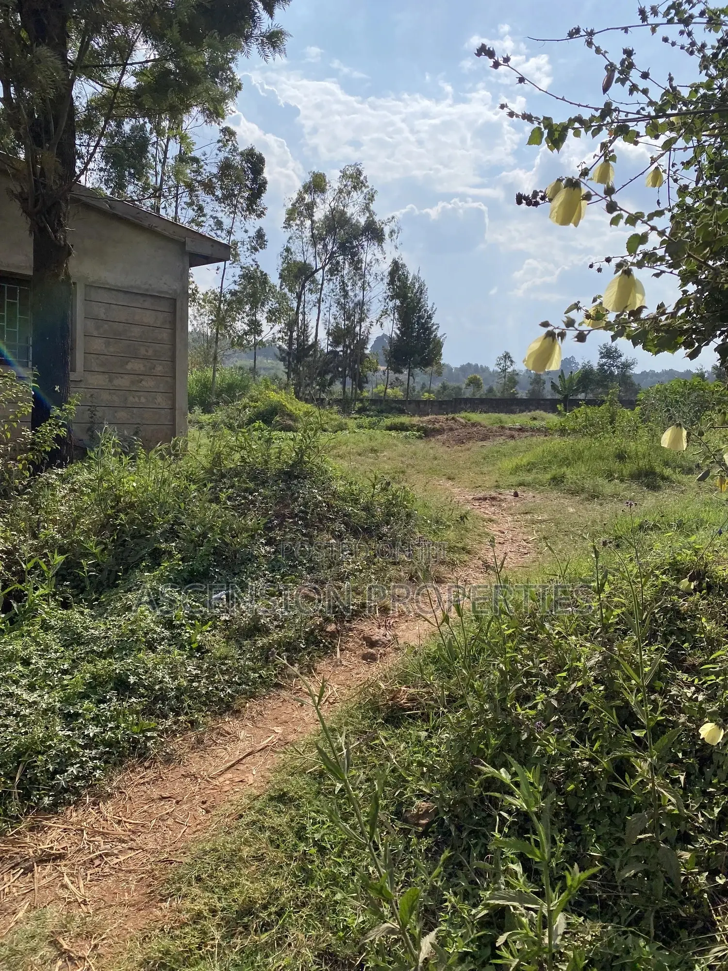 Prime 0.5-Acre Residential Plot for Sale – Loresho, Nairobi in Loresho