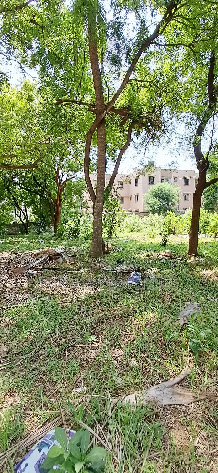 For Sale Quater of an Acres Plots Mtwapa in Mtwapa