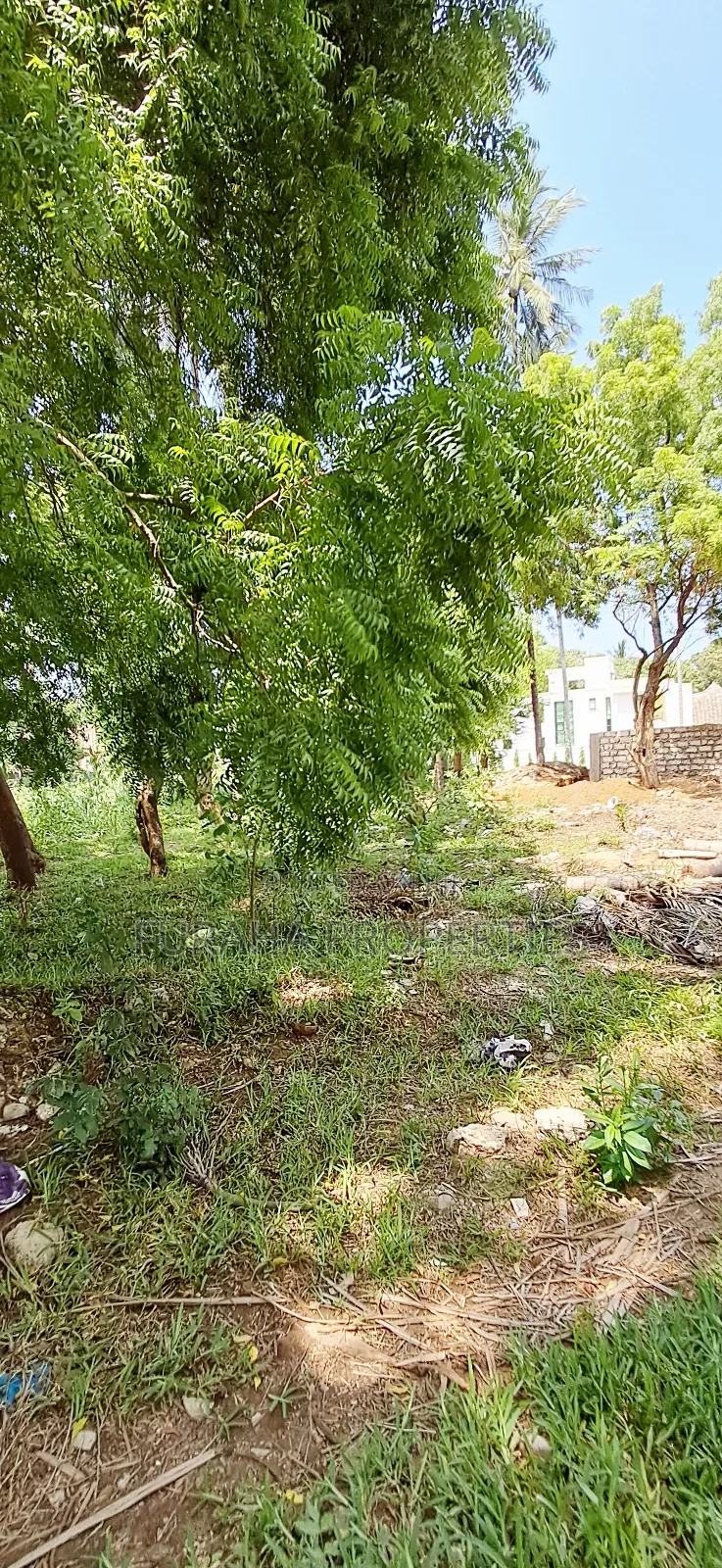For Sale Quater of an Acres Plots Mtwapa in Mtwapa