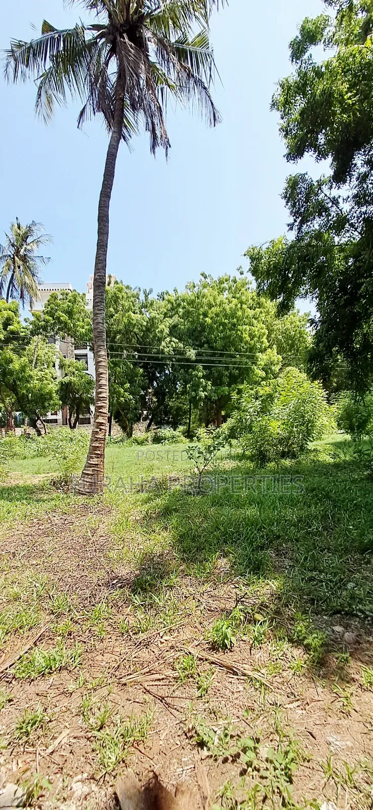 For Sale Quater of an Acres Plots Mtwapa in Mtwapa