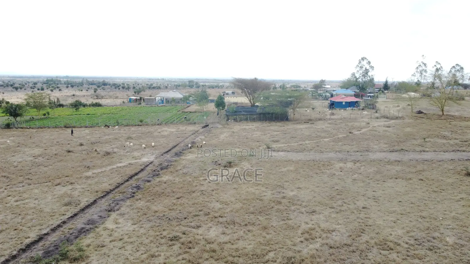 Prime Isinya Diaspora Plots With Ready Title Deeds in Isinya